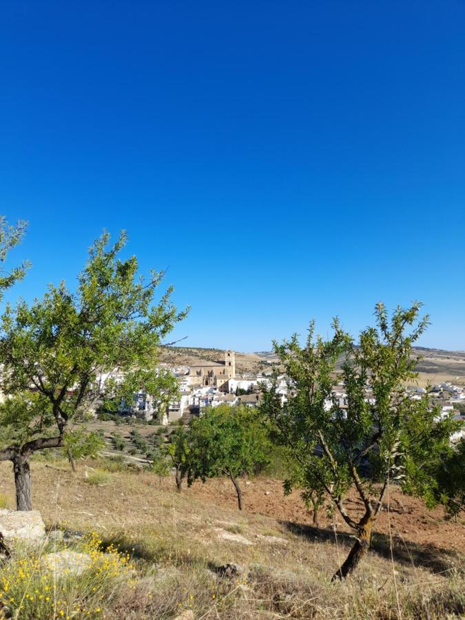 La Casita De Papel Alhama De Granada Villa Eksteriør bilde